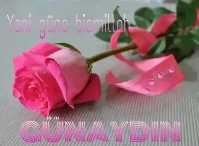 $10264969_658849784188958_1682969969600276780_n.webp