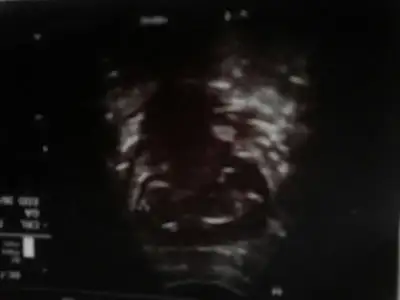 $1401105659276.webp