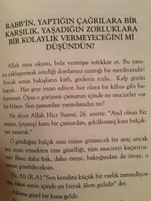 $uÃ°ur koÃ¾ar.webp