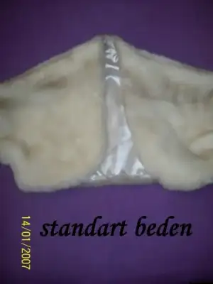 $103_0179.webp