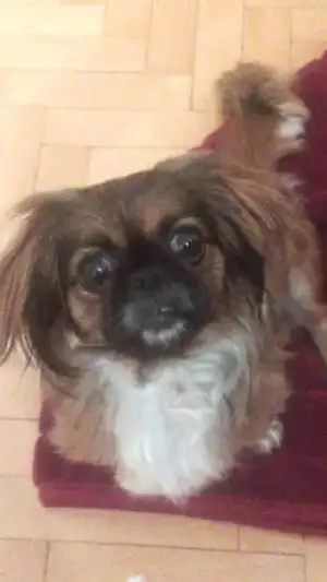 $14050333.webp