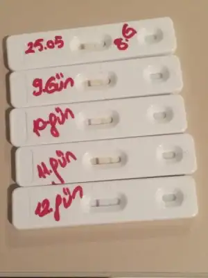 $ImageUploadedByKadÃÂ±nlar KuluÃËbuÃË1401374187.913681.webp