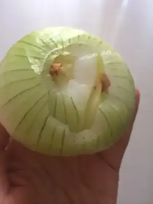 $ImageUploadedByKadÃÂ±nlar KuluÃËbuÃË1401374741.774989.webp