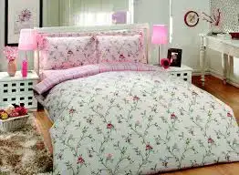 $soley.webp $soley.webp