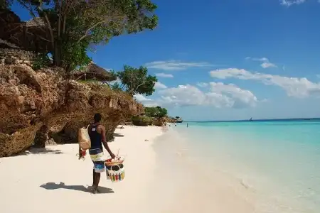 $Zanzibar.webp $Zanzibar.webp