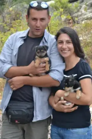 $kÃ¶pekler10.webp