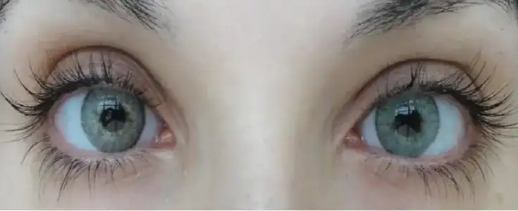 $quartzo yeni 1.webp