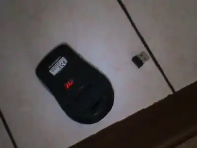 $bilgisayar p 005.webp