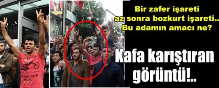 $gaziosmanpasa-da-kafa-karistiran-kare-4442914.webp $gaziosmanpasa-da-kafa-karistiran-kare-4442914.webp