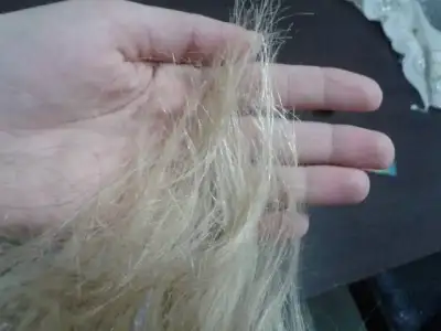 $1401984492339.webp