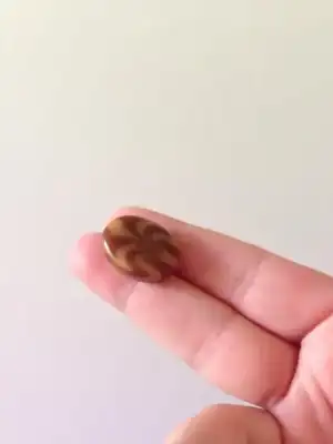 $ImageUploadedByKadÃÂ±nlar KuluÃËbuÃË1401985058.364239.webp