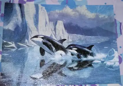 $IMG_20140121_144746.webp $IMG_20140121_144746.webp