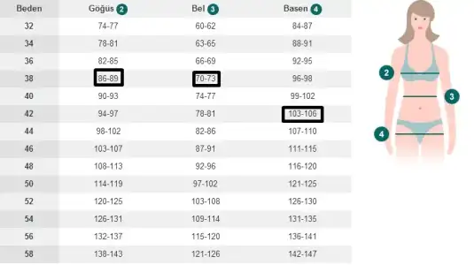 $cats.webp