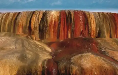 $PAMUKKALE_KIRMIZI_SU_KAPLICALARI_27_EKIM_2013.webp