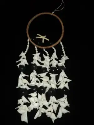 $DSC02024.webp $DSC02024.webp