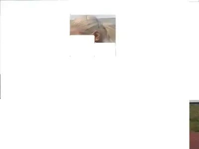 $Fotoğraf0039.webp $Fotoğraf0039.webp