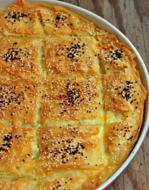 $DSC_0312.webp $DSC_0312.webp