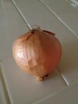 $ImageUploadedByKadÃÂ±nlar KuluÃËbuÃË1402254681.529821.webp