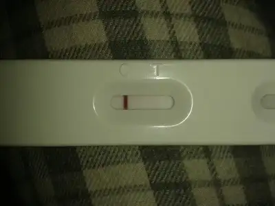 $1402550405465.webp