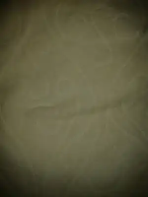 $1402744677240.webp