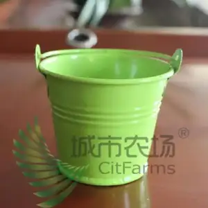 $-font-b-Small-b-font-Single-Tub-Mini-Multicolour-Paint-font-b-Small-b-font.webp
