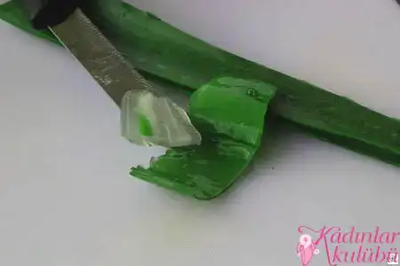 $aloe_vera_ile_sac_ve_cilt_maskesi_16.webp $aloe_vera_ile_sac_ve_cilt_maskesi_16.webp