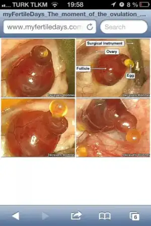 $ImageUploadedByKadÃÂ±nlar KuluÃËbuÃË1403028120.644089.webp