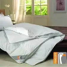 $Penelope-KazTüyü.webp $Penelope-KazTüyü.webp