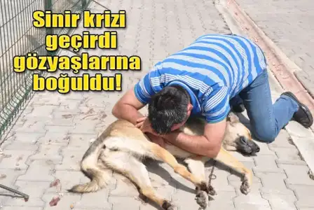 $bunu-insan-olan-yapmaz-4494303.webp