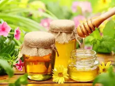$yesil_cay_ve_balin_faydalari (2).webp $yesil_cay_ve_balin_faydalari (2).webp