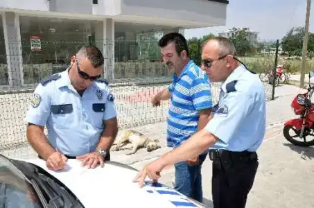 $motosiklet_mersin_kopek.webp $motosiklet_mersin_kopek.webp