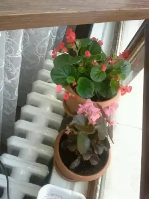 $1404052988694.webp