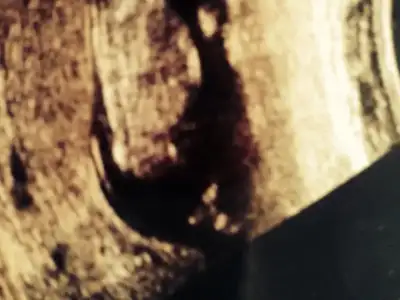 $ImageUploadedByKadÃÂ±nlar KuluÃËbuÃË1404109034.042884.webp