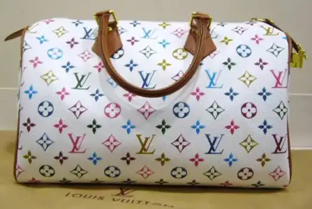 $LOUIS-VUITTON-SPEEDY-35LIK-MULTICOLOR-SUMMER__38441860_6.webp