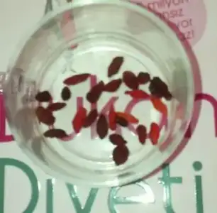 $goji.webp $goji.webp