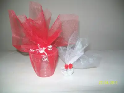 $100_2904.webp