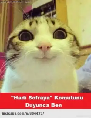 $ramazan-casps-leri-726077.webp