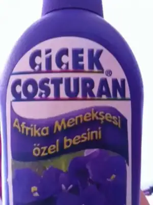 $fotoÃ°raf (67).webp