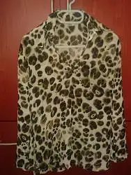 $LEOPAR.webp