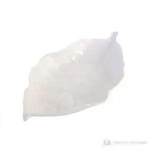 $MAG_1855321.webp