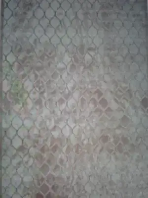 $1405089306422.webp