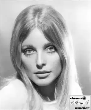 $SharonTate7.webp