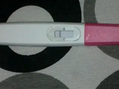 $25042011247.webp