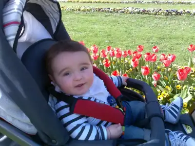 $100420111228.webp