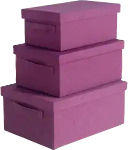 $2000012919_1.webp