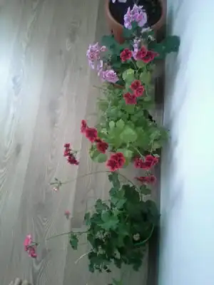 $1405346033817.webp