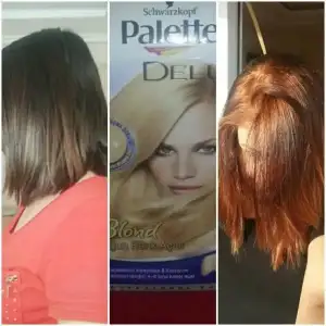 $1405503729322.webp