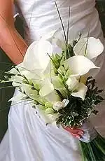$30279_389111294627_294908259627_3761423_7206219_n.webp
