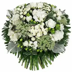 $30279_389111329627_294908259627_3761429_7877524_n.webp