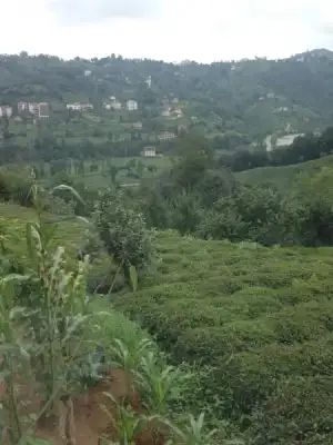 $ImageUploadedByKadÃÂ±nlar KuluÃËbuÃË1406383774.458323.webp